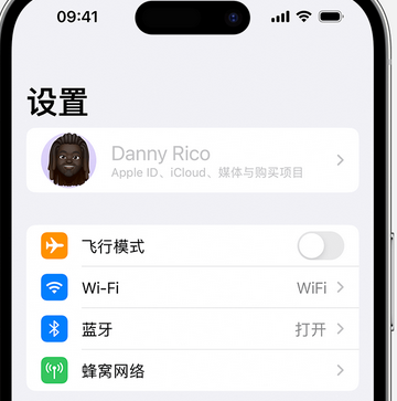 惠农appleID维修服务iPhone设置中Apple ID显示为灰色无法使用