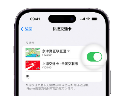 惠农apple维修点分享iPhone上更换Apple Pay快捷交通卡手绘卡面 