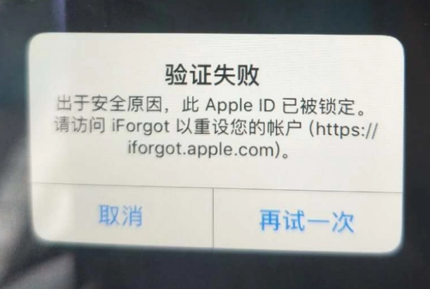 惠农iPhone维修分享iPhone上正常登录或使用AppleID怎么办 