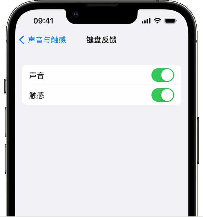 惠农苹果14维修店分享如何在 iPhone 14 机型中使用触感键盘 