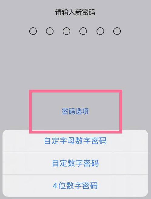 惠农苹果14维修分享iPhone 14plus设置密码的方法 