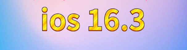 惠农苹果服务网点分享苹果iOS16.3升级反馈汇总 