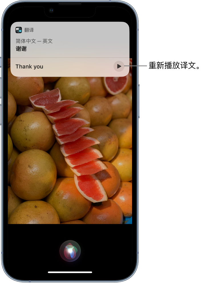 惠农苹果14维修分享 iPhone 14 机型中使用 Siri：了解 Siri 能帮你做什么 