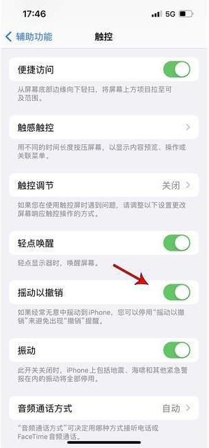 惠农苹果手机维修分享iPhone手机如何设置摇一摇删除文字 