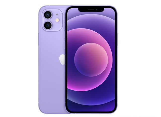 惠农苹果手机维修分享现阶段要不要入手紫色版iPhone12 