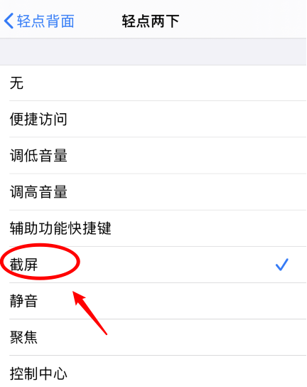 惠农苹果手机维修分享iPhone12如何启用双击截屏 